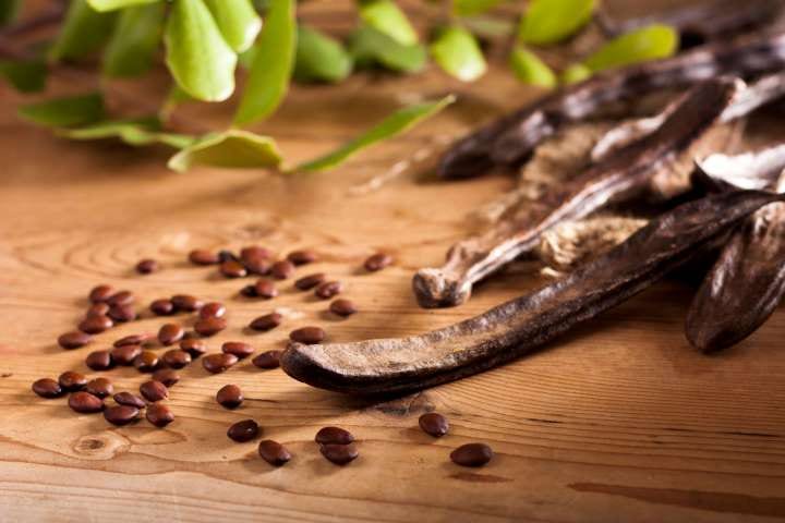gousses et graines de caroube issues du caroubier, alternative durable au cacao avec meilleur rendement agricole